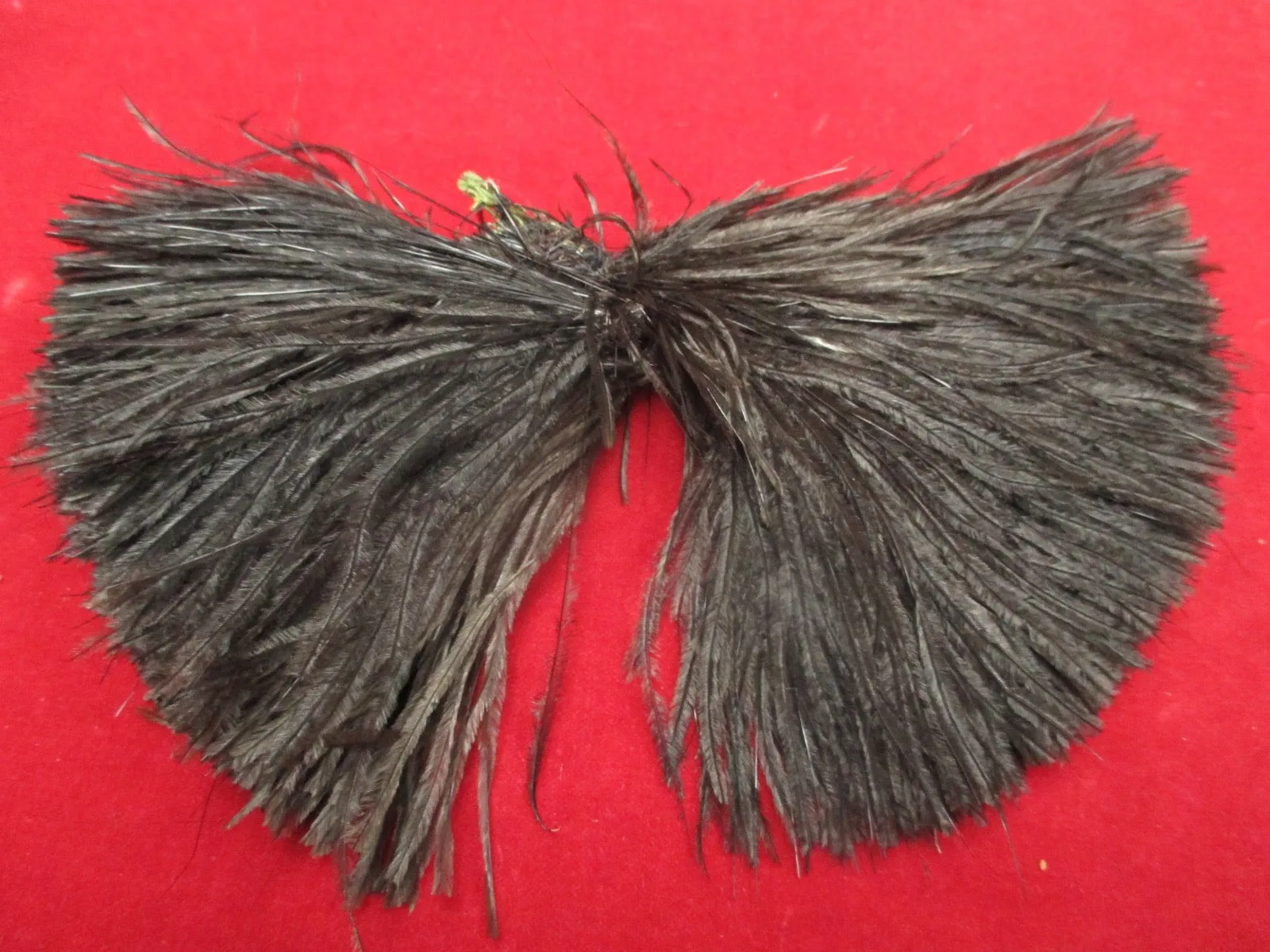 Antique Victorian millinery hat feather