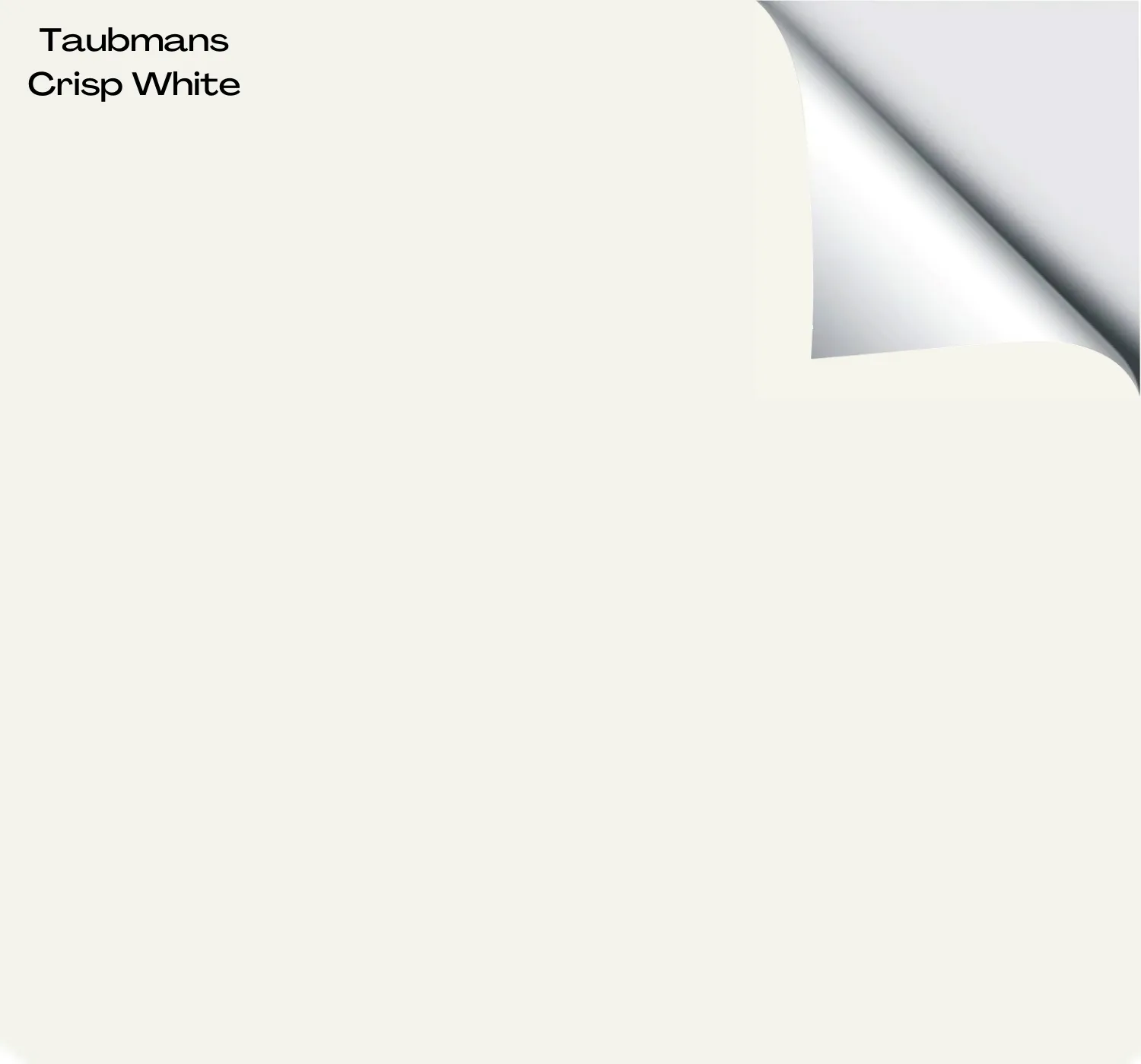 Our Most Popular Pack - Cool Whites